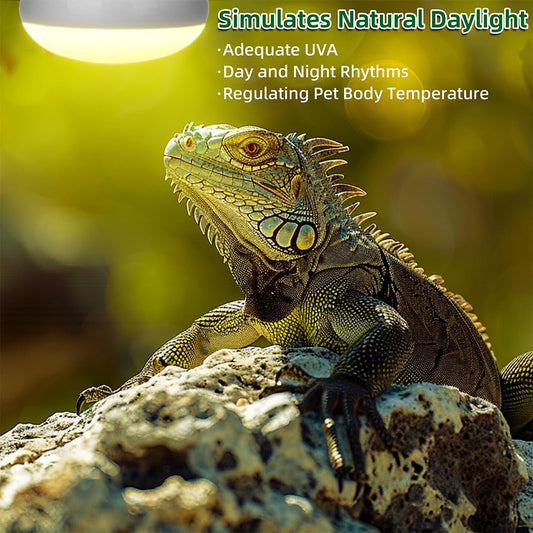Two pack of DaToo one hundred watt reptile amphibians basking light bulbs