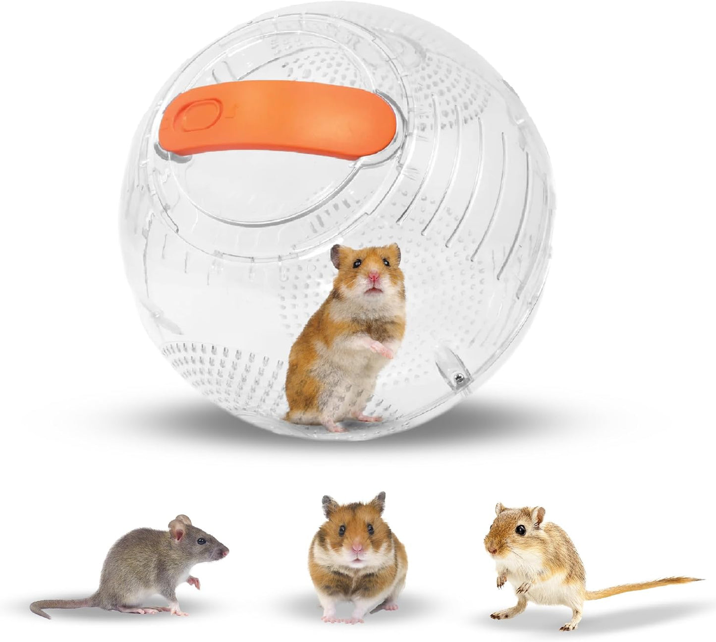 Roam Ring Accessory - Convert Your Hamster Ball into a Small Pet Carrier for Safe, Active Play - Small Animal Toys for Gerbils, Mice & More - Must-Have Pet Rat and Hamster Accessories - Image 9