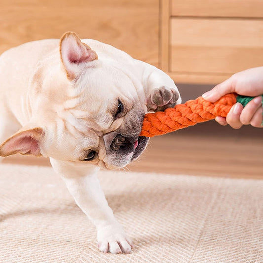 Three piece set of carrot shaped pet rope toys for puppy dental health and teeth cleaning close up view