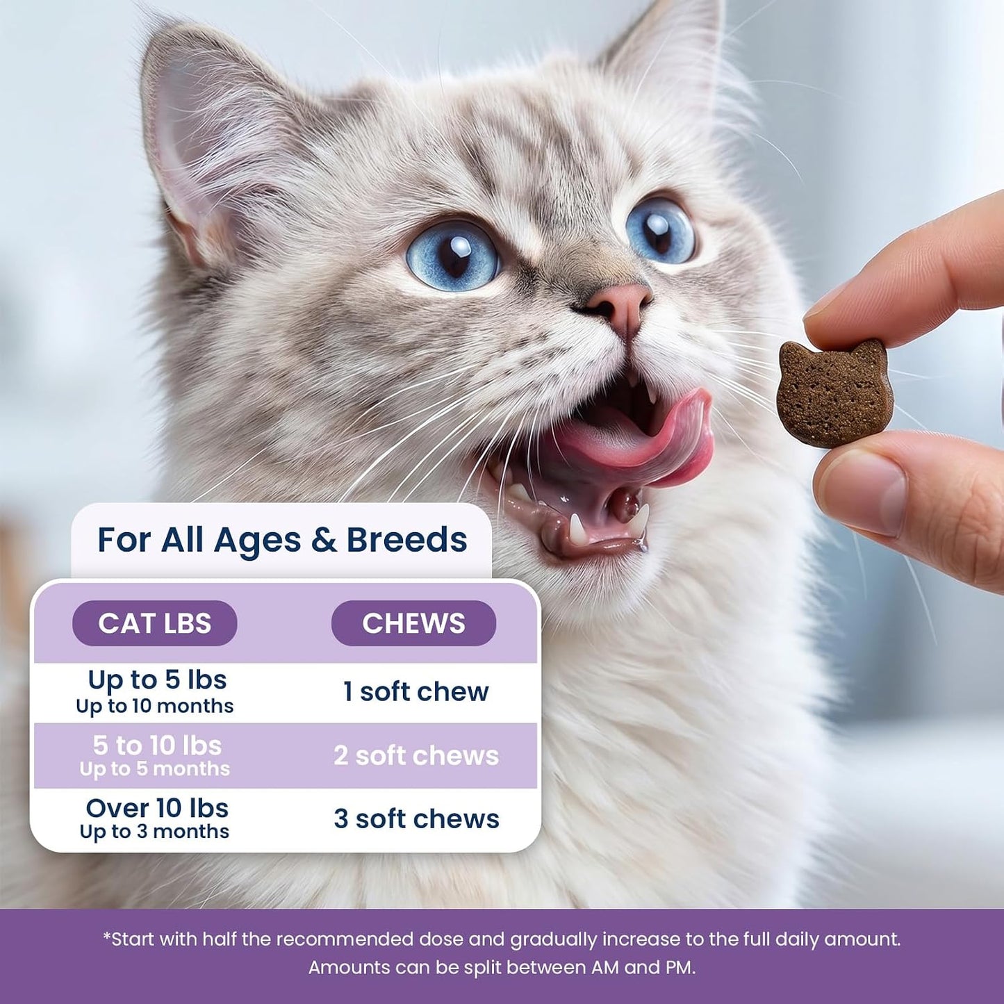 Authentic USA imported PLBKCTS feline behavioral supplement soft chews for indoor cats.
