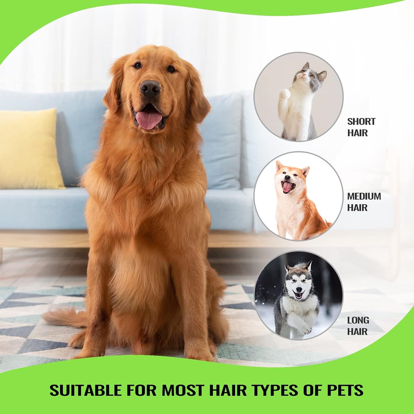 Professional pet grooming tool packaging and contents