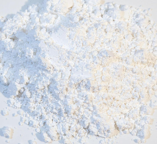 Zoo Med calcium supplement powder for reptiles