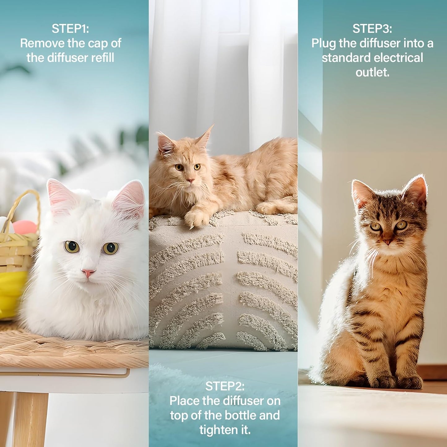 Authentic USA imported cat calming diffuser refills set on a clean background