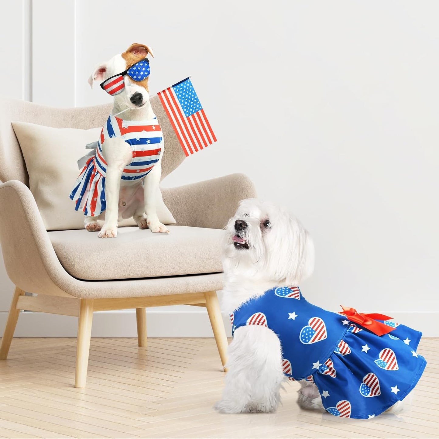 Imported USA dog princess dresses two pack lifestyle shot.