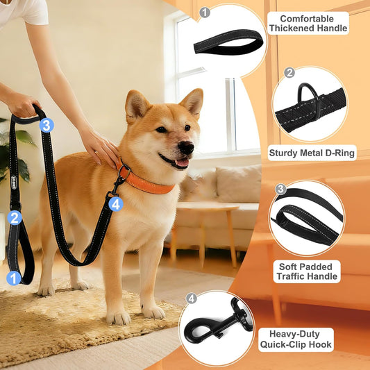 CLCKUMTU six foot reflective dog leash showcasing dual padded neoprene handles
