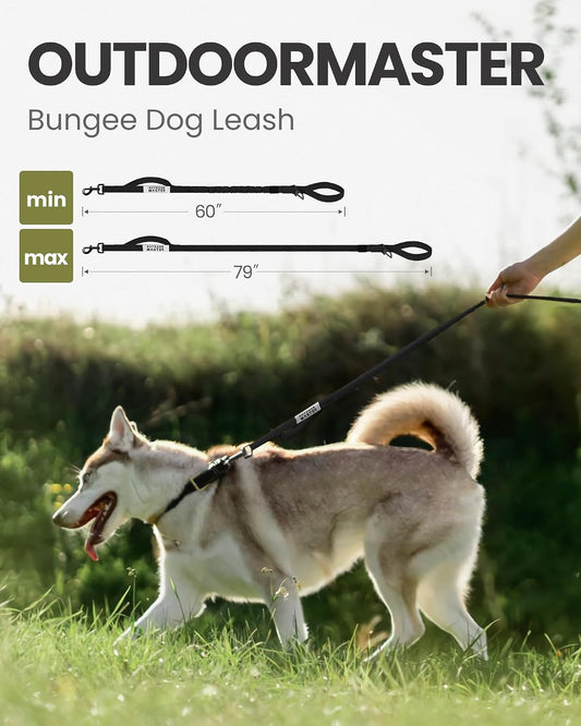Black upgraded six feet flexible elastic pet leash close up