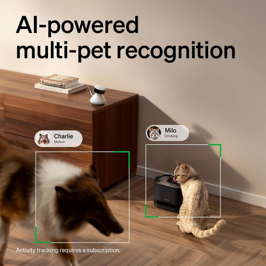 Petlibro smart pet monitor showing 360 degree pan view