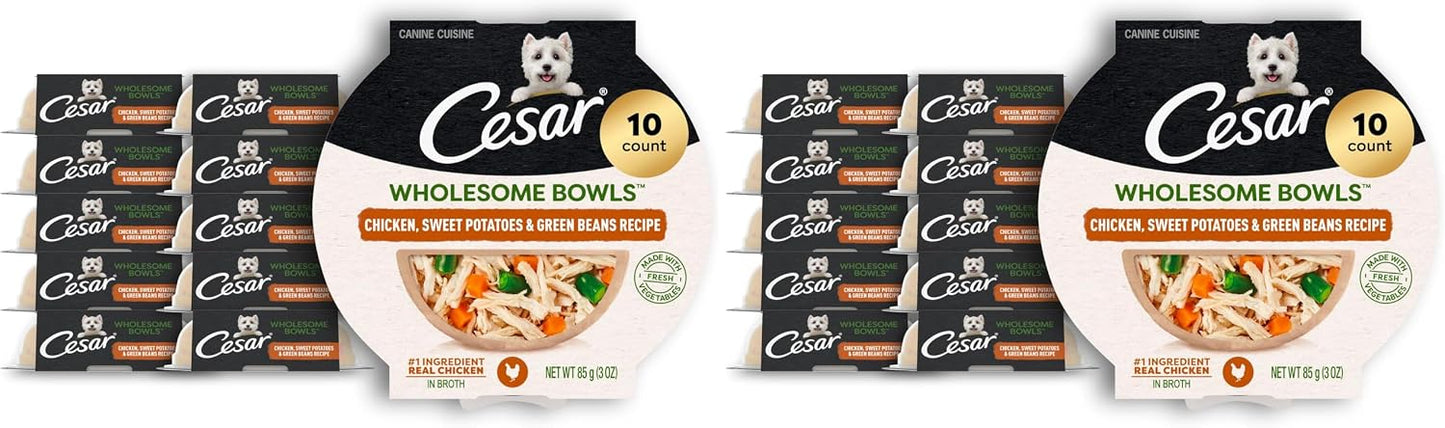 Cesar Wholesome Bowls Adult Wet Dog Food, Chicken, Recipe, Wet Food for Dogs, 3 Oz. Bowls, 10 Count - Image 15
