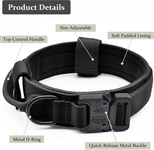 Cadono nylon dog collar with metal buckle close up