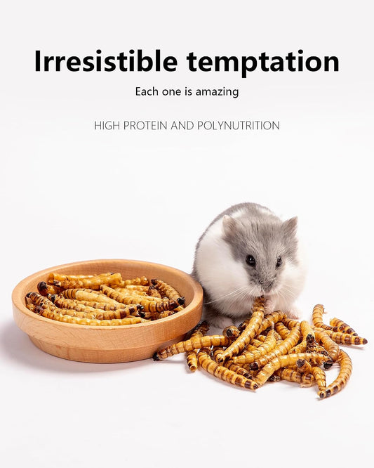 Niteangel hamster snack and treats natural dried superworms container