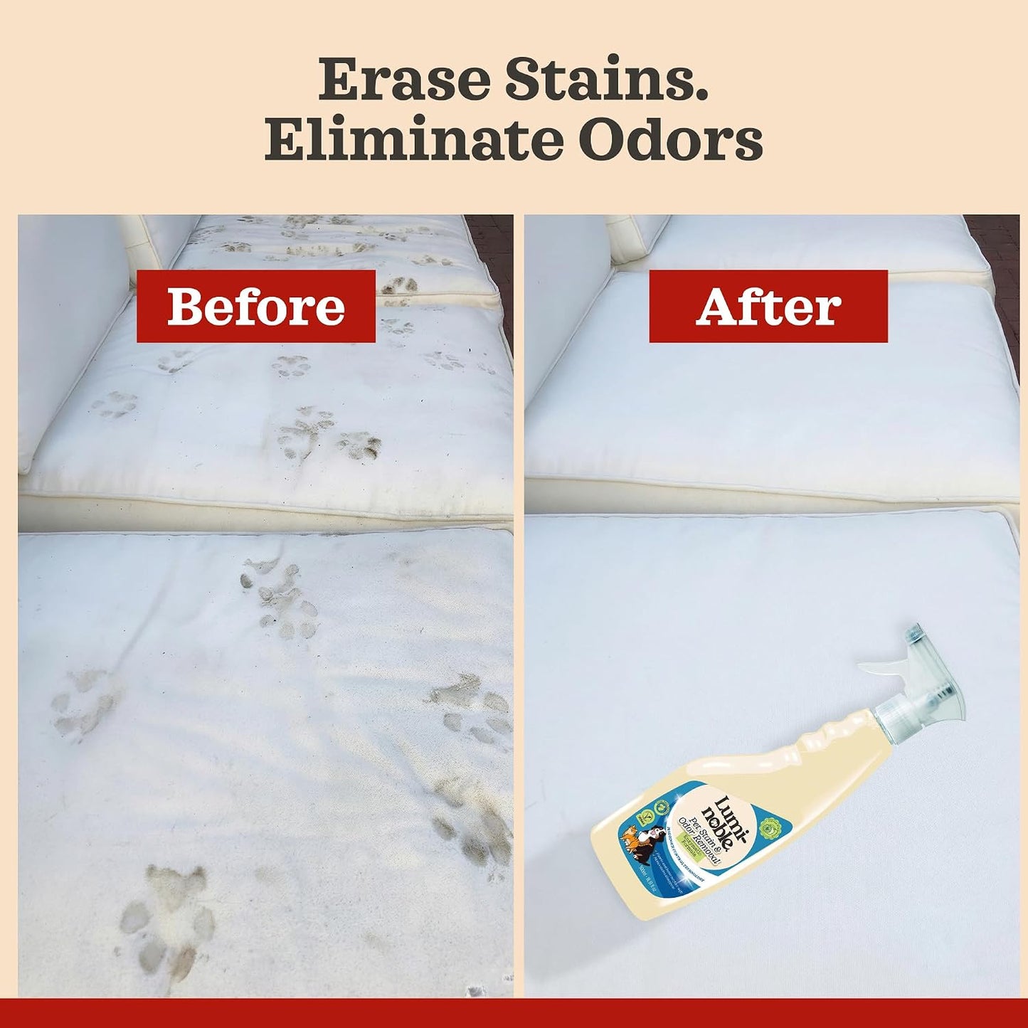 Imported pet safe stain neutralizer spray for premium Indian home care.