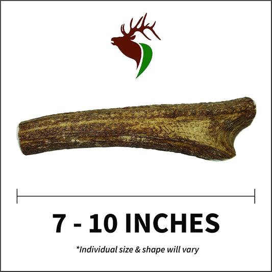 Premium grade naturally shed USA elk antler bone for heavy chewers.