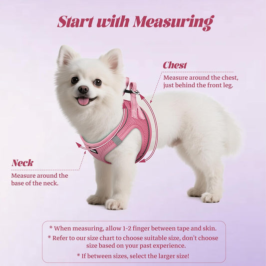 Yimeis reflective dog vest and matching leash set