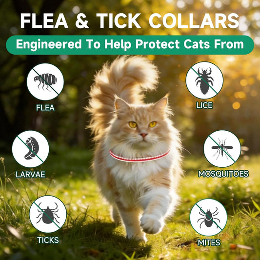 Four pack cat flea collar set for long term protection