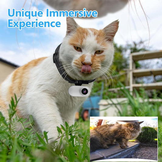 Ehomful pet collar camera with nylon strap attachment