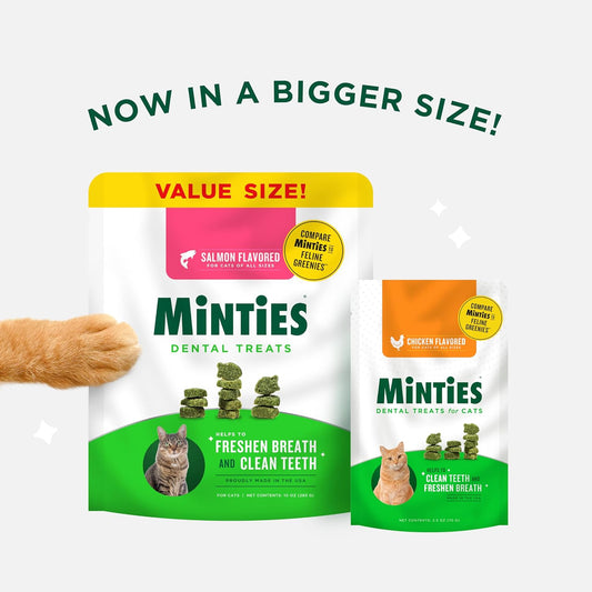 Minties cat teeth cleaning snacks crunchy salmon flavor pebbles close up view