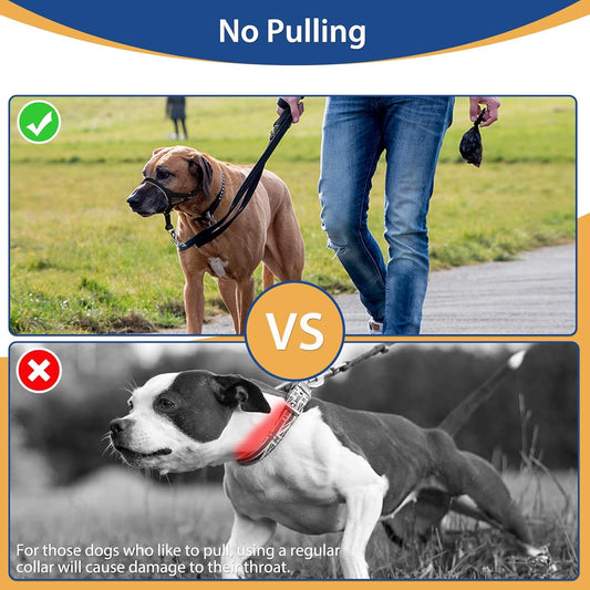 No pull dog head halter with padded snout strap close up