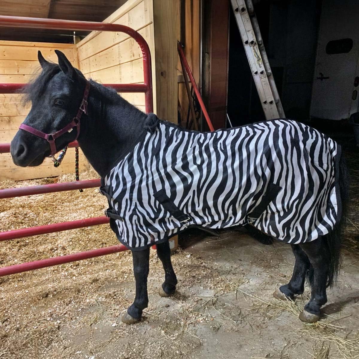Country Pride soft mesh horse protection sheet adjustable buckles close up view