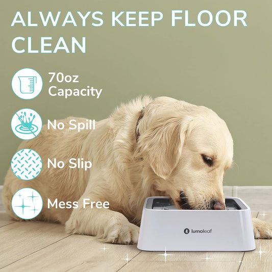 Splash proof pet water dispenser with floating disk mechanism