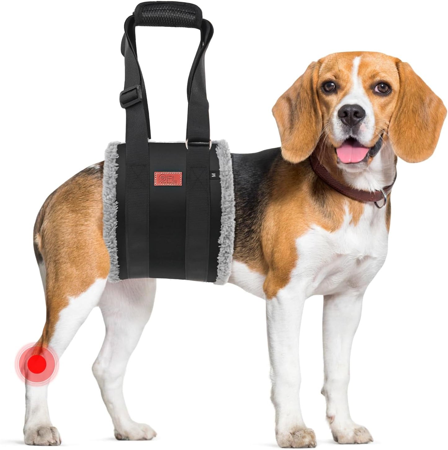 Adjustable Dog Lift Harness Dog Sling for Large Dogs Hind Leg Support Soft Lift Support and Rehab Harness for Weak Rear Legs, Helps Senior, Injured, Disabled and After ACL Surgery Dogs Large - Image 15