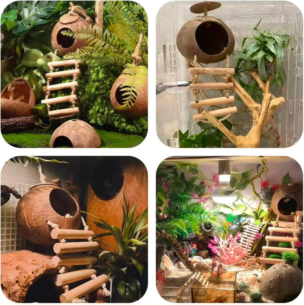 Full view of Cosoc reptile habitat accessory kit components