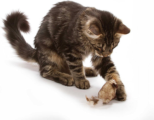 Interactive squeaking cat mouse toy set showcasing the five inch size profile perfect for indoor chasing.