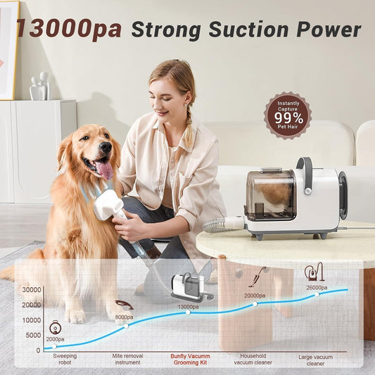 Bunfly professional pet vacuum groomer with sixteen tools