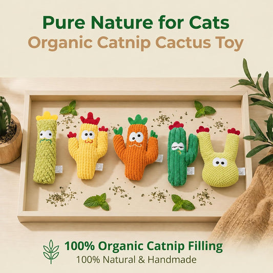 Filler free cactus kitten teething kicker toys for dental cleaning close up