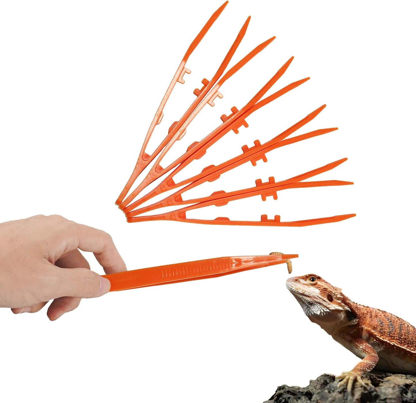 4-Pack Reptile Feeding Tongs Set - Hygienic Anti-Slip Green Tweezers for Bearded Dragons, Lizards, Snakes, Aquariums & Small Animals(Five Colors to Choose from) - Image 10