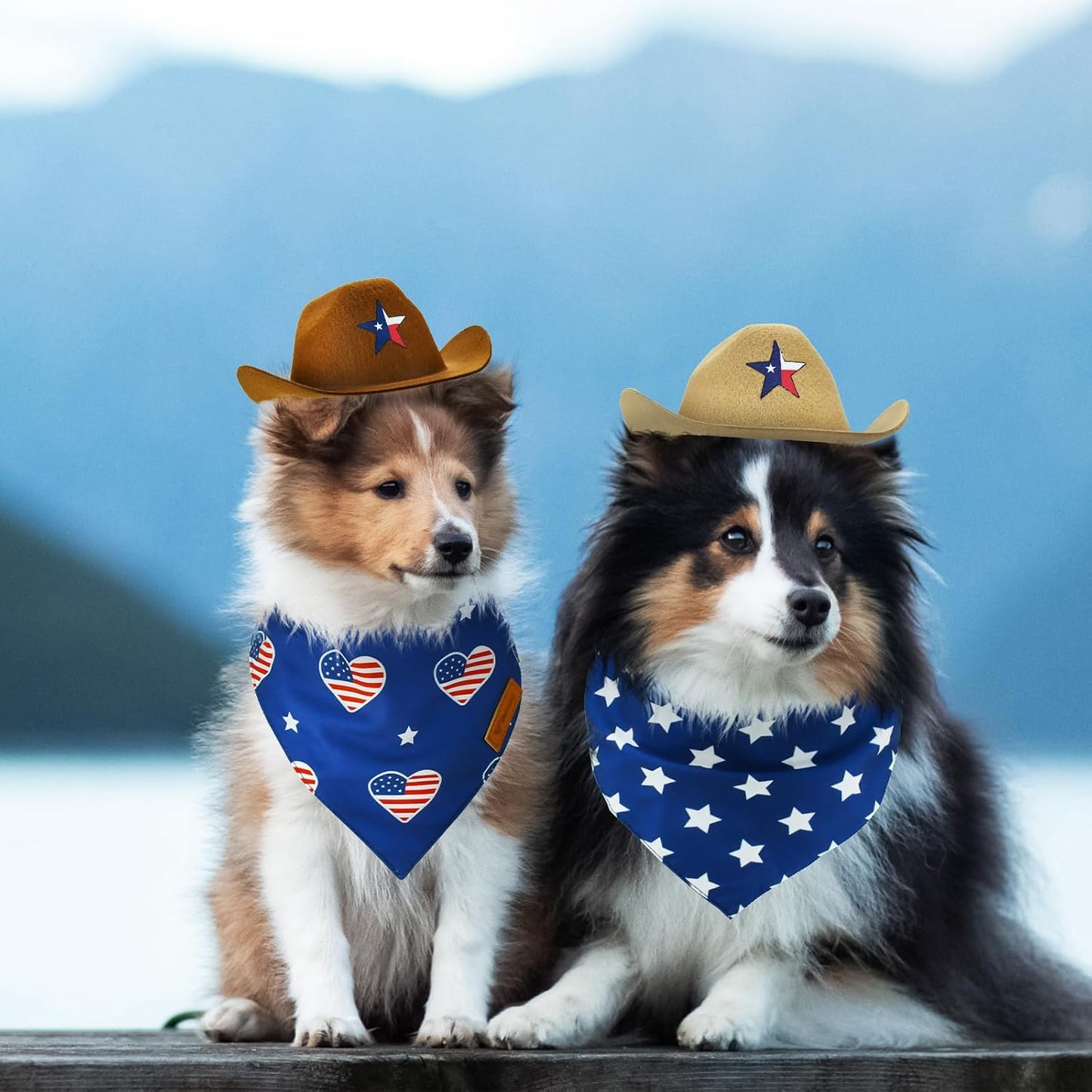 Full 4-piece Vehomy pet costume set on display