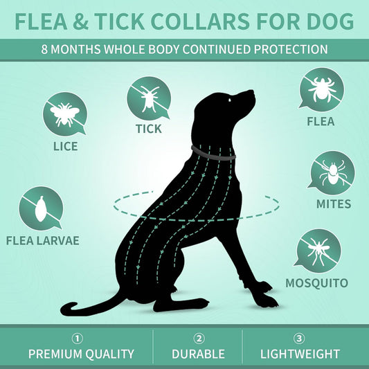 Puyrzoe dog flea collar adjustable strap detail