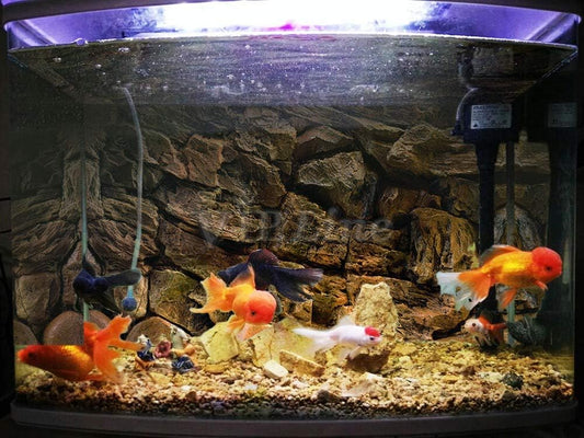 VIP.LINE 3D rock stone effect aquarium wallpaper texture close up