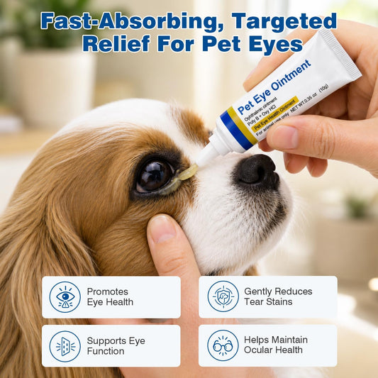 Applying gentle moisture support ointment to a dog eye area