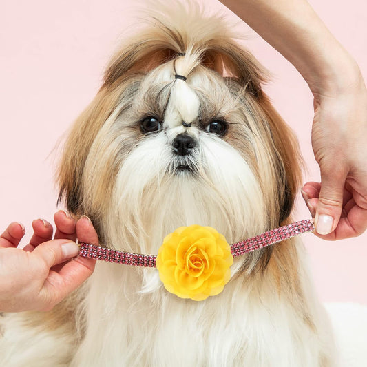 Assorted color chiffon pet flower bow ties attached to a puppy collar.