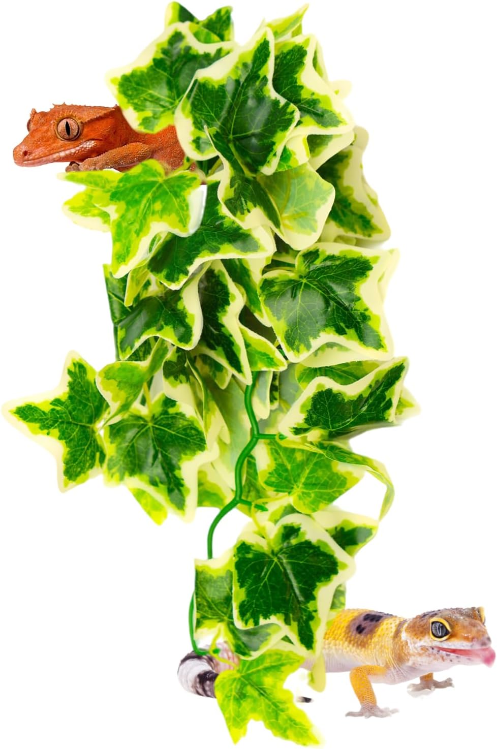 Close up of Reptiking artificial leaves and vine texture
