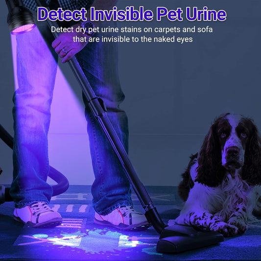 Loftek ultraviolet blacklight showing 51 LED bulbs close up