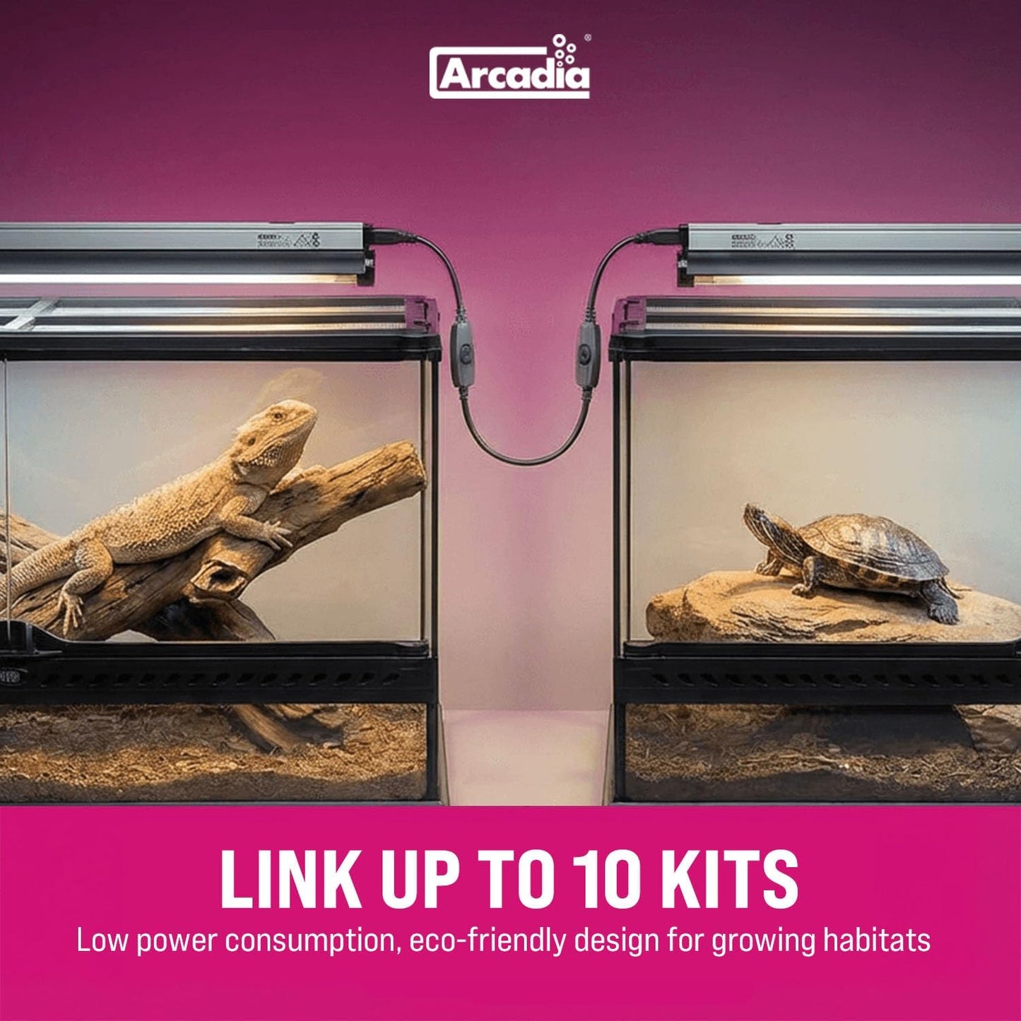 Arcadia forest reptile UVB fixture operating over a mesh terrarium top demonstrating even light distribution.