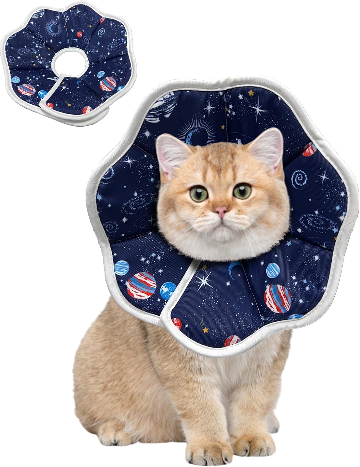 Authentic USA imported SUSWIM comfortable cat recovery cone sizing guide representation