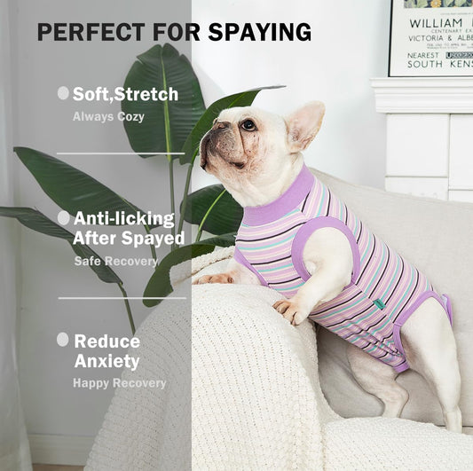 Side view of a female dog wearing the Sebidtco cotton surgical onesie.
