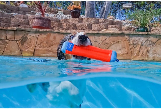 Chuckit! Amphibious Bumper medium dog toy showing the non-slip knotted rope handle.