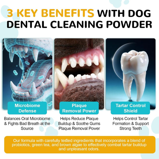 Petrivium pet dental powder jar showing natural seaweed and green tea ingredients.