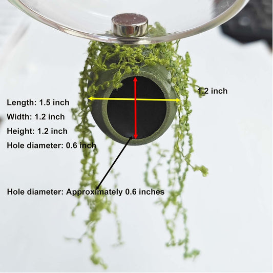 YOMENO magnetic spider hideaway set mounted inside a clear acrylic terrarium for climbing enrichment
