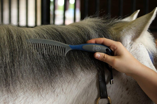 Oster horse grooming tool blue comb showcasing ergonomic rubber grip handle