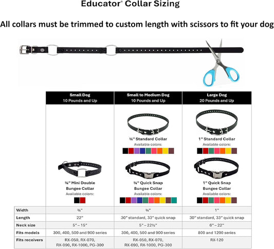 Close up of Educator bungee collar D-ring and hardware