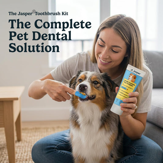 Jasper canine oral care set featuring the chicken flavored dog toothpaste for plaque removal.