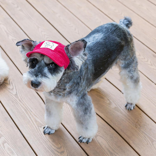 Small red Mianhuatang cat hat with ear holes