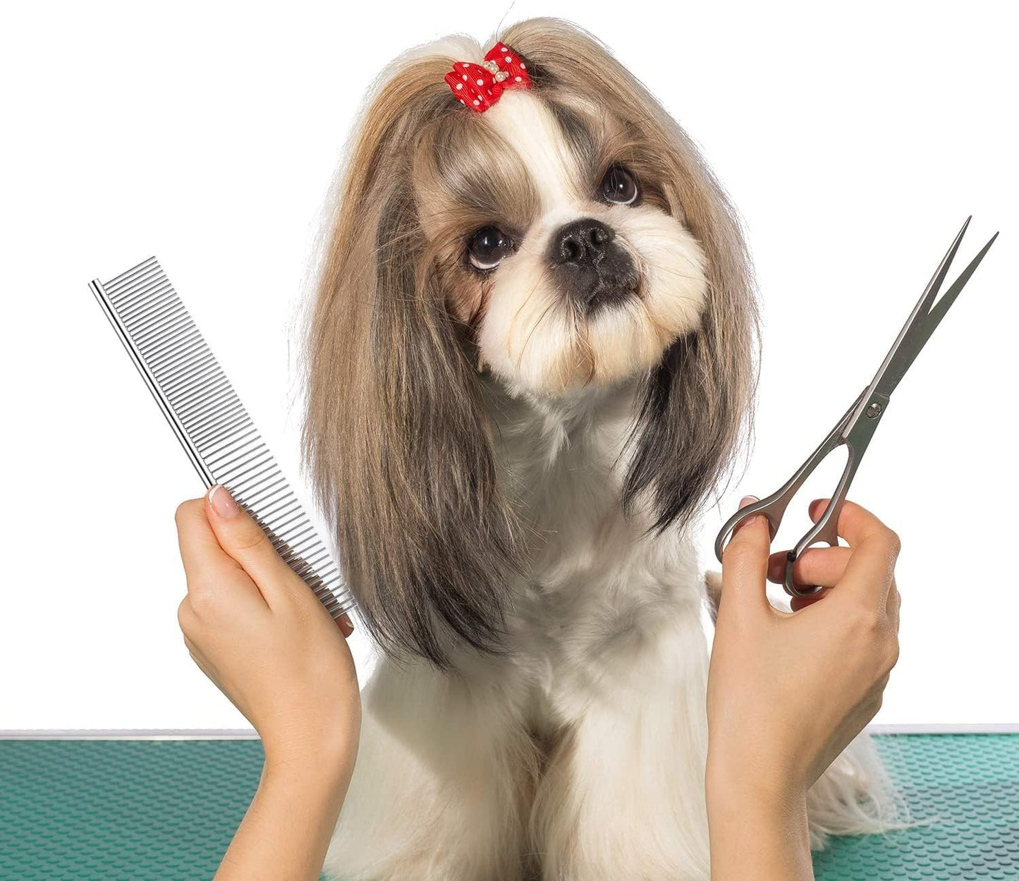 LOCANS metal pet comb being used on a golden retriever puppy for static-free undercoat deshedding.