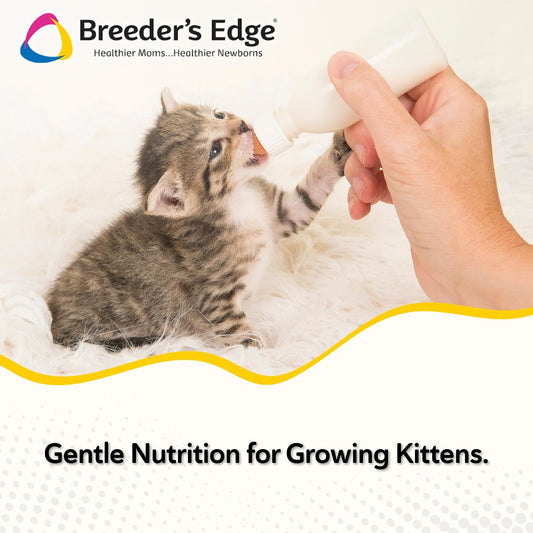 Foster Care Feline powdered milk replacer container showing 12 Ounce weight