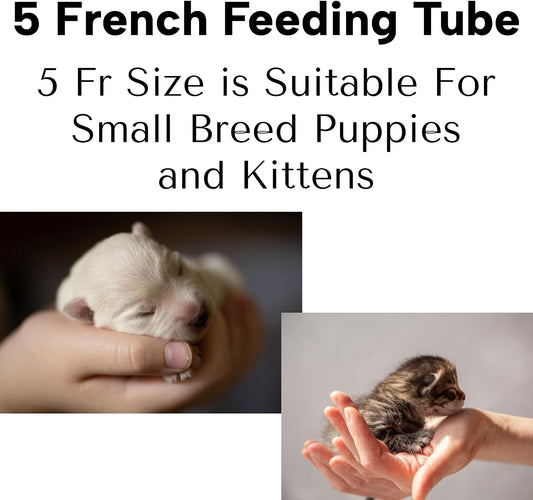 Five French red rubber neonatal feeding tube with rounded tip for puppy and kitten critical care