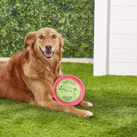 Booda Tail-Spin Flyer dog toy showing soft rubber edge